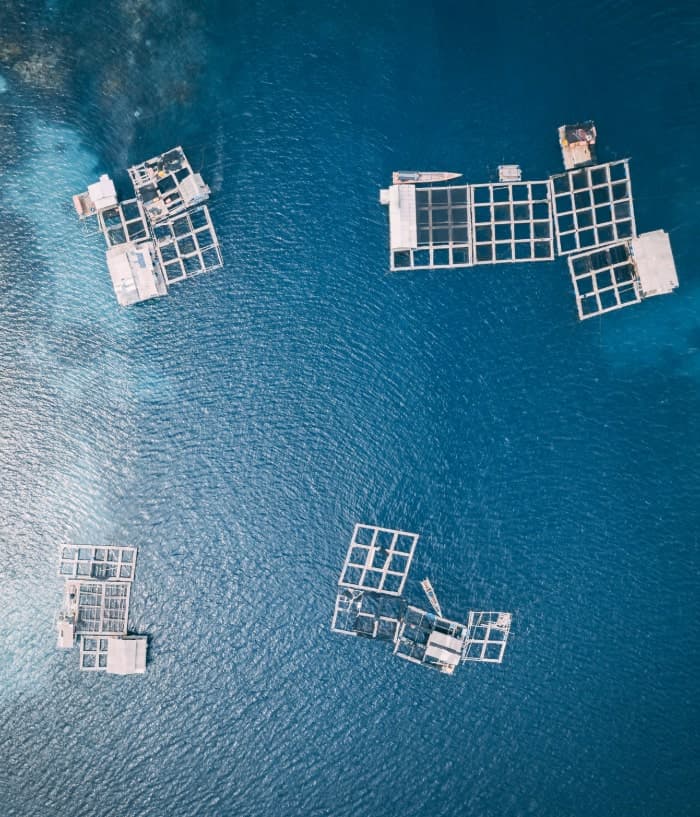 Welcome banner image